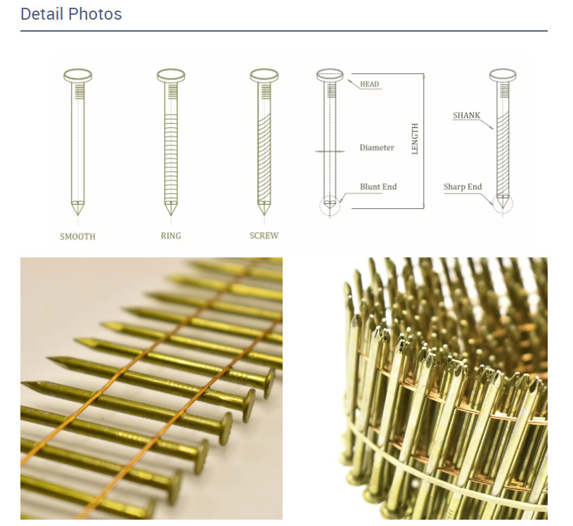 screw shank coil nails 